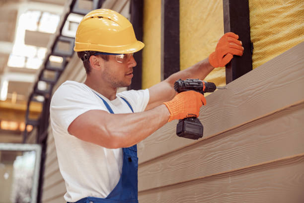 Best Stone Veneer Siding  in Lithia Springs, GA